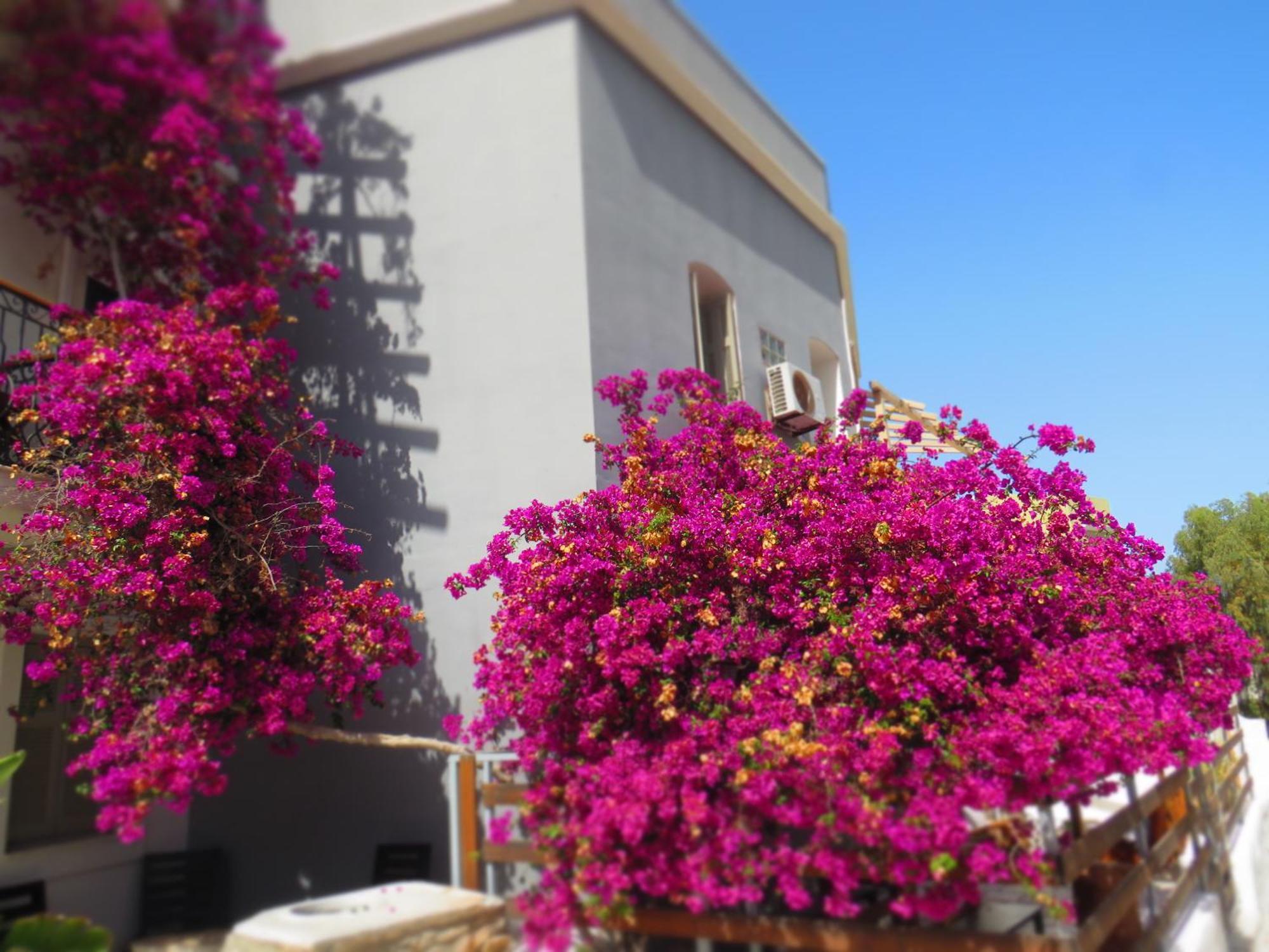 Axilleion Boutique Hotel แอร์มูโปลี ภายนอก รูปภาพ