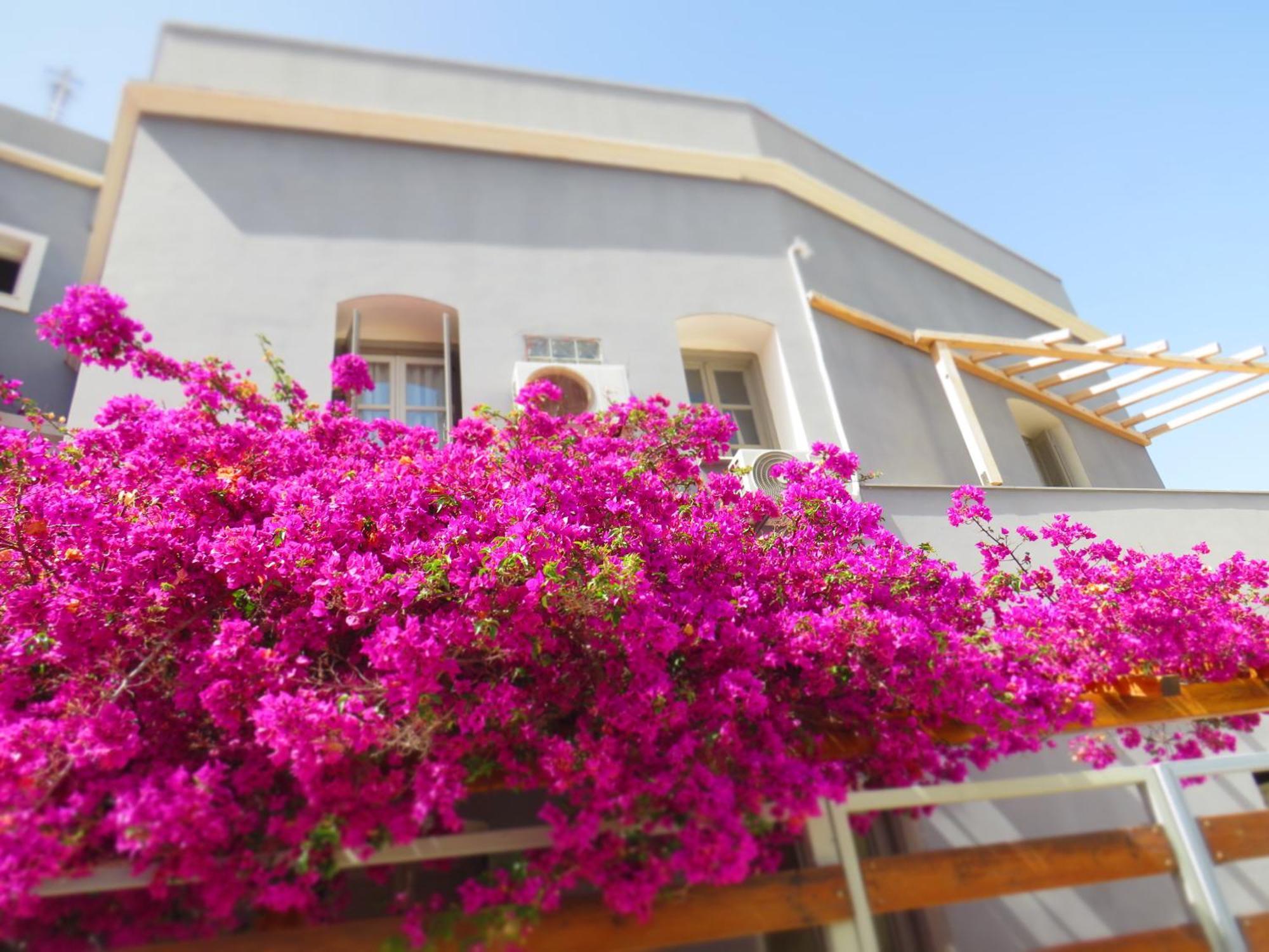 Axilleion Boutique Hotel แอร์มูโปลี ภายนอก รูปภาพ
