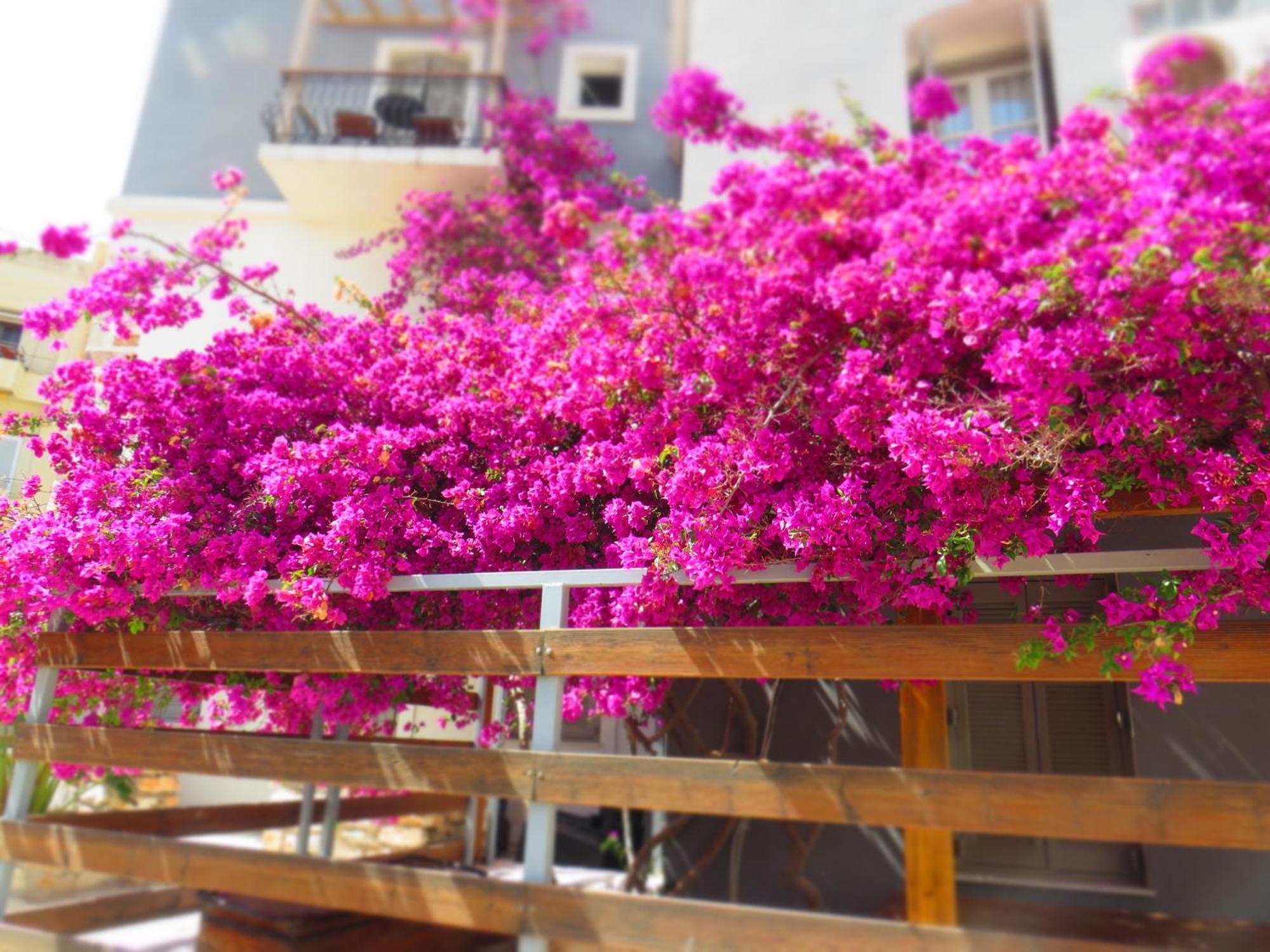 Axilleion Boutique Hotel แอร์มูโปลี ภายนอก รูปภาพ