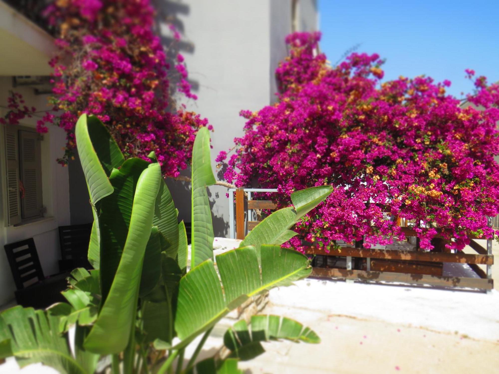 Axilleion Boutique Hotel แอร์มูโปลี ภายนอก รูปภาพ