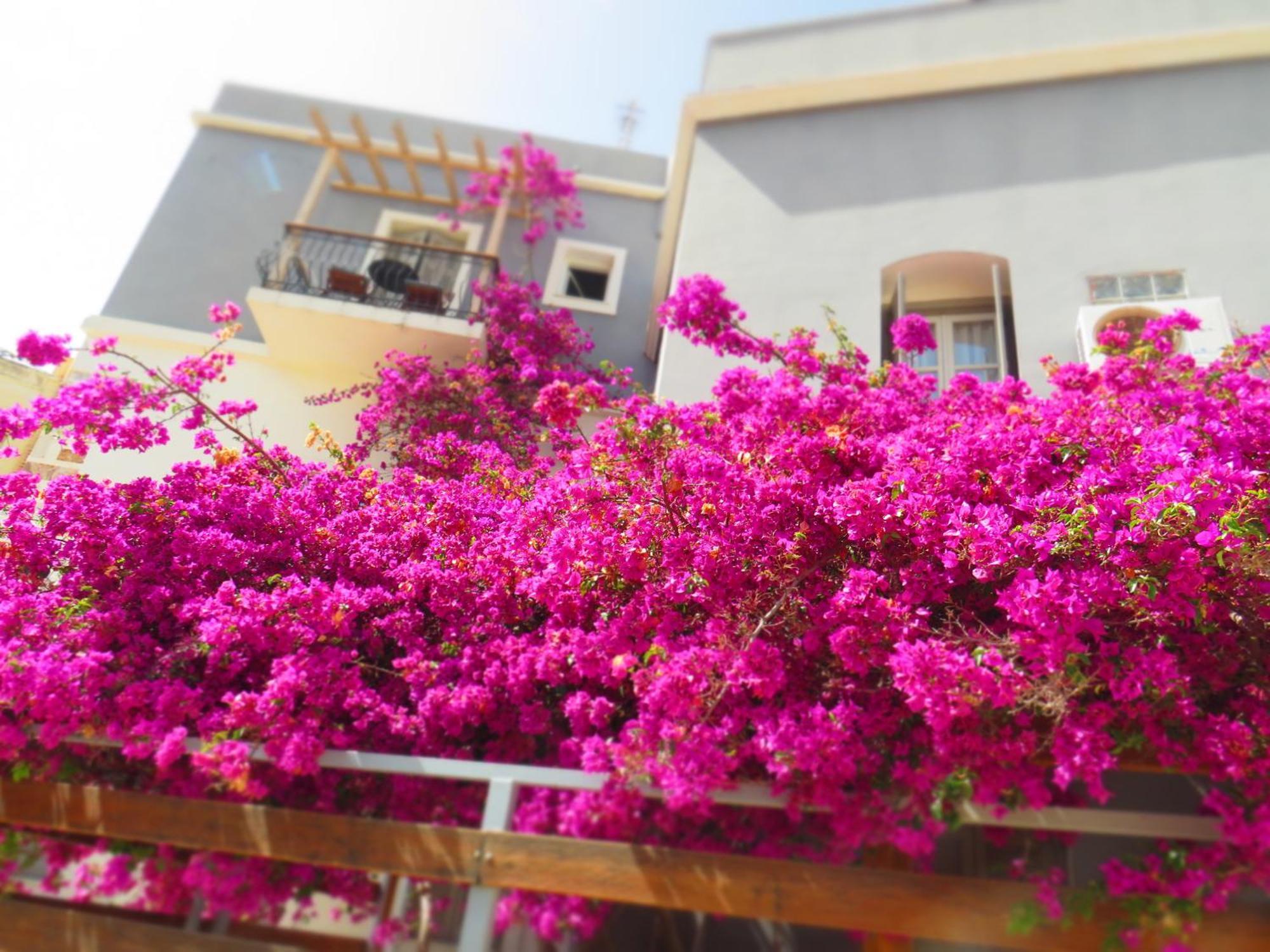 Axilleion Boutique Hotel แอร์มูโปลี ภายนอก รูปภาพ